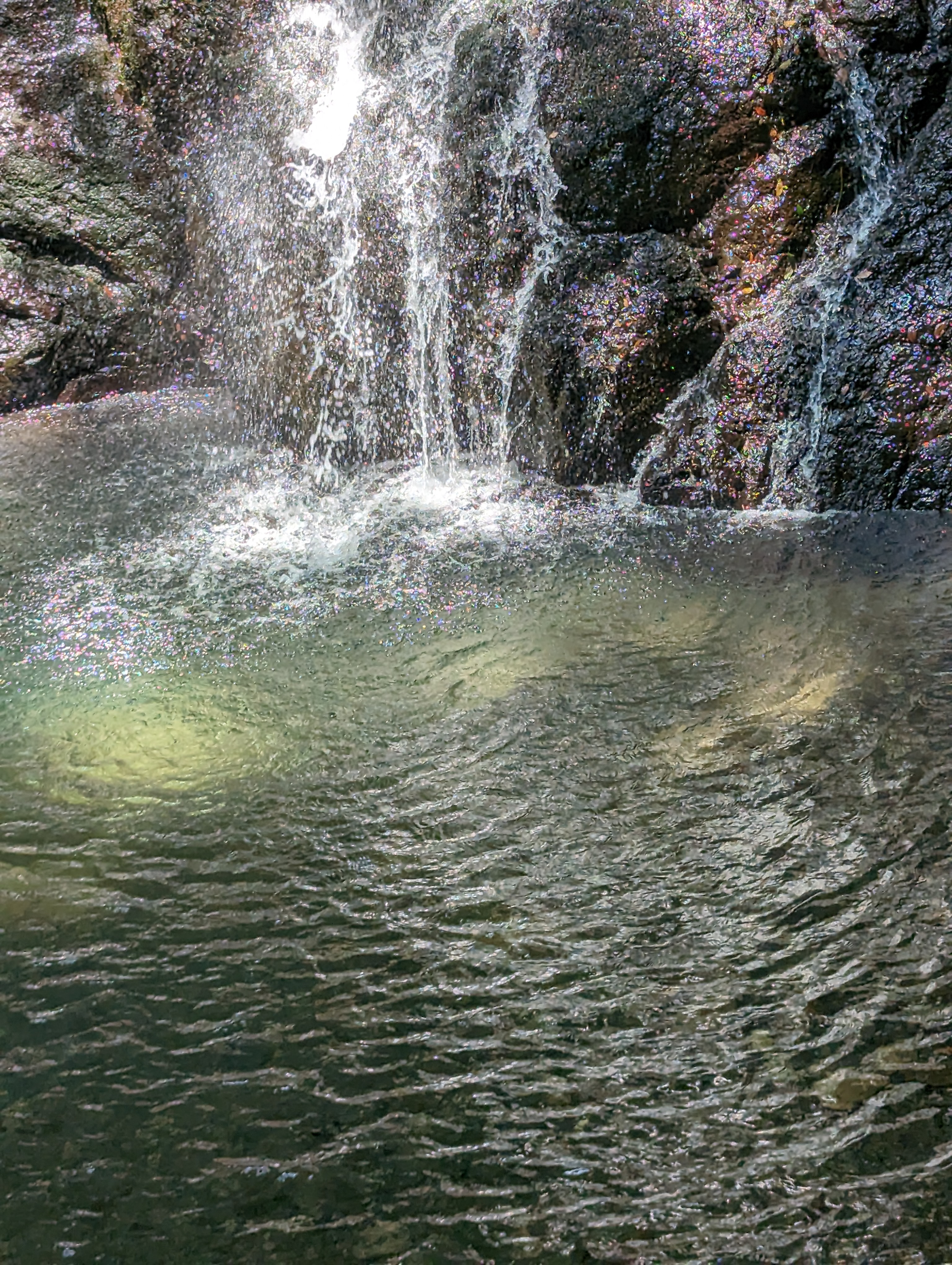 🌻一粒万倍日🌻